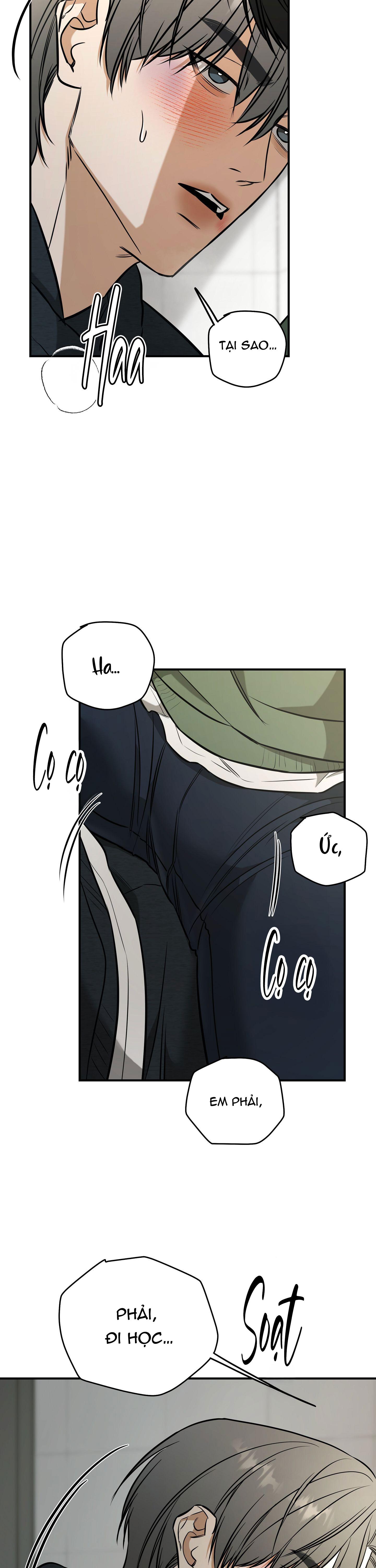 Đọc truyện (ABO) FEEL MY BENEFIT - Chapter 38