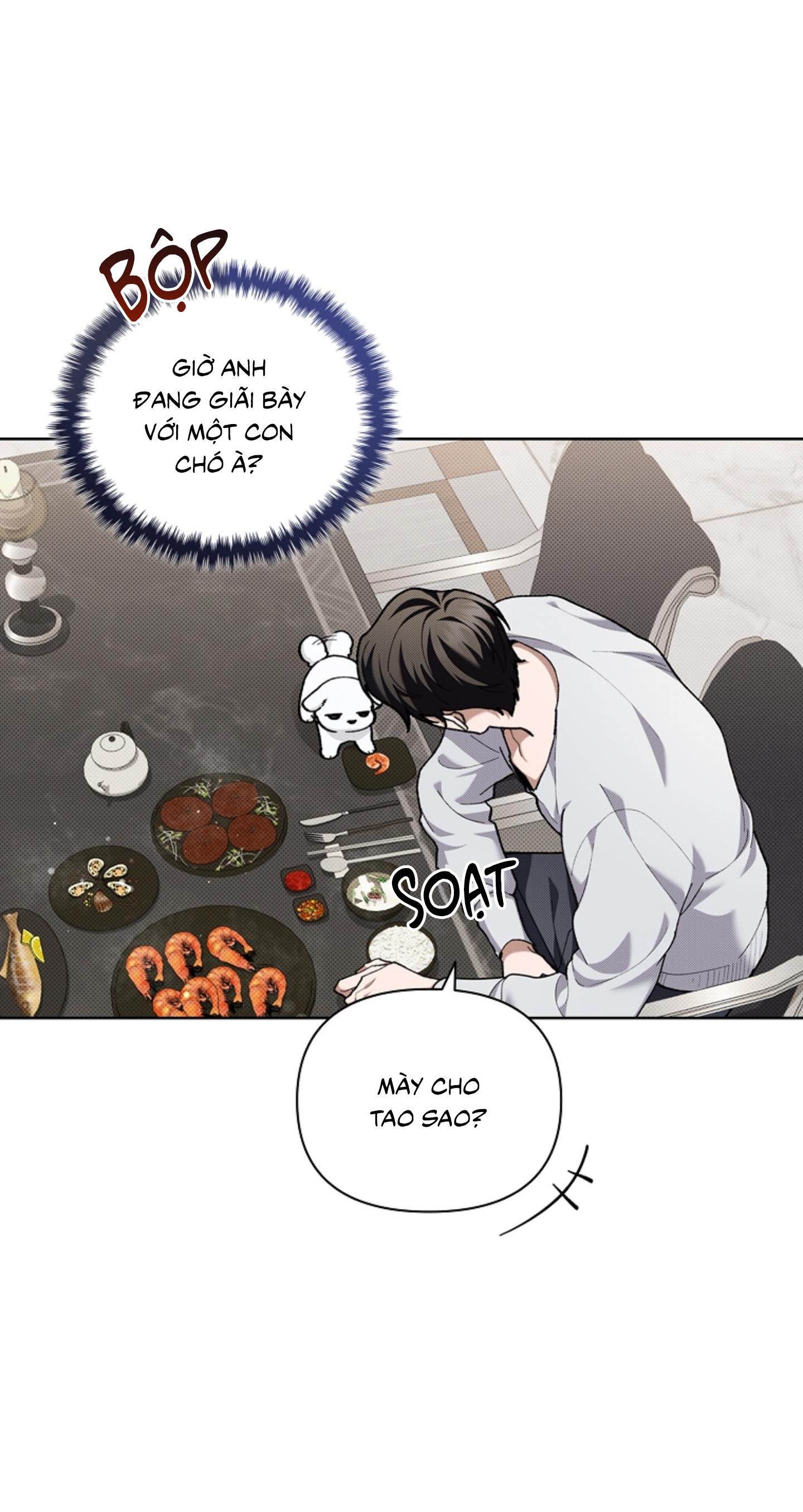 Đọc truyện ĐỪNG ĐỘNG VÀO CÚN CON! - Chapter 10