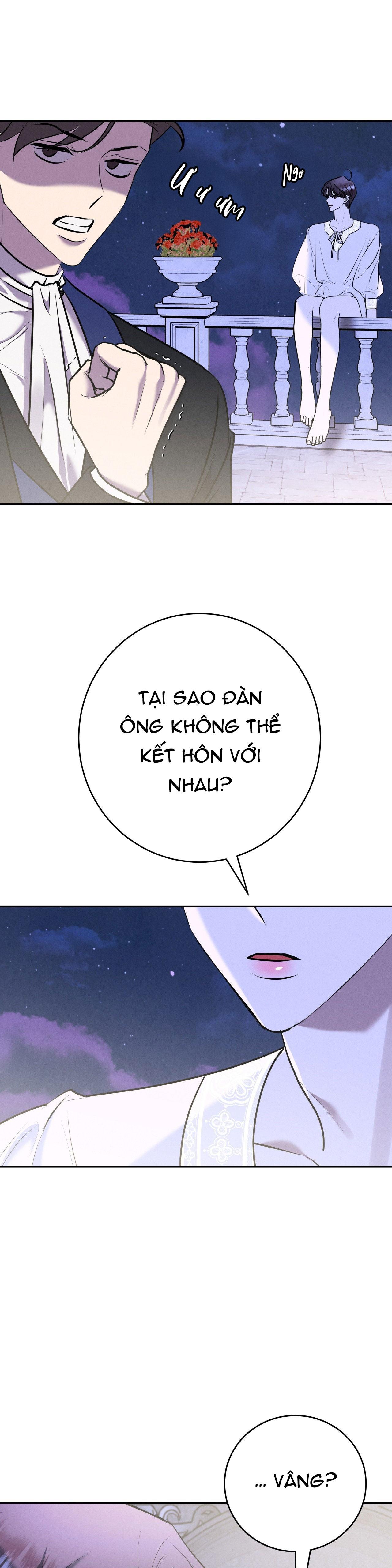 Đọc truyện ĐÁM CƯỚI TAI TIẾNG - Chapter 13