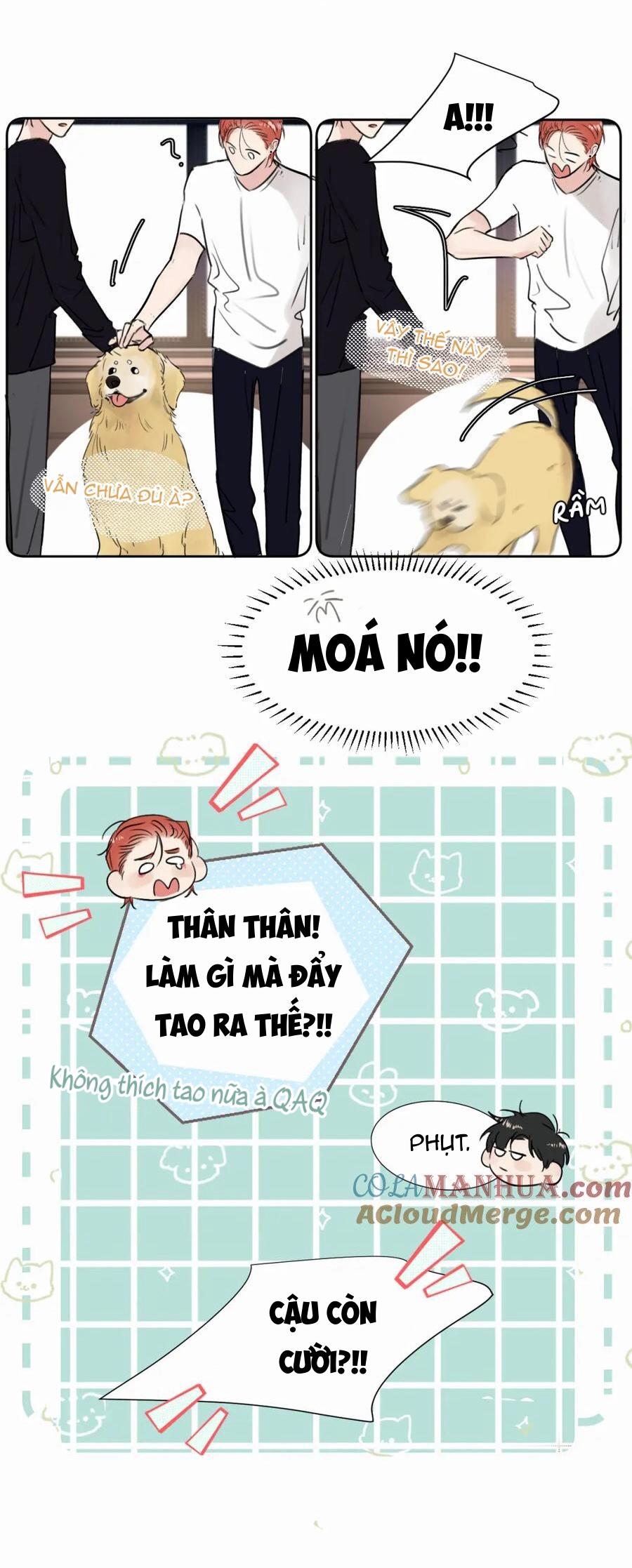 Đọc truyện Chó Chuộc Tội - Chapter 30