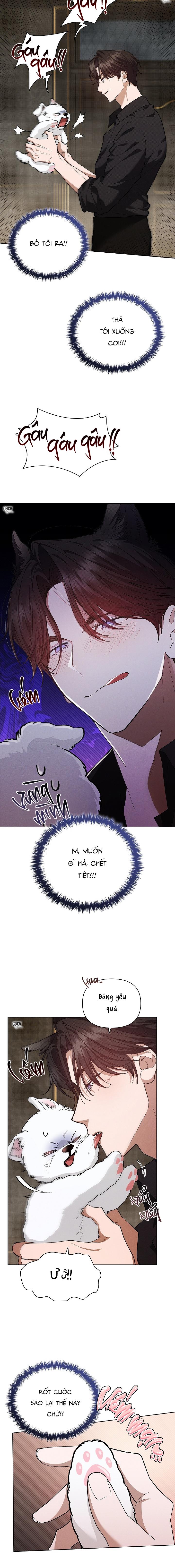 Đọc truyện ĐỪNG CHẠM VÀO CÚN CON CỦA TÔI - Chapter 1