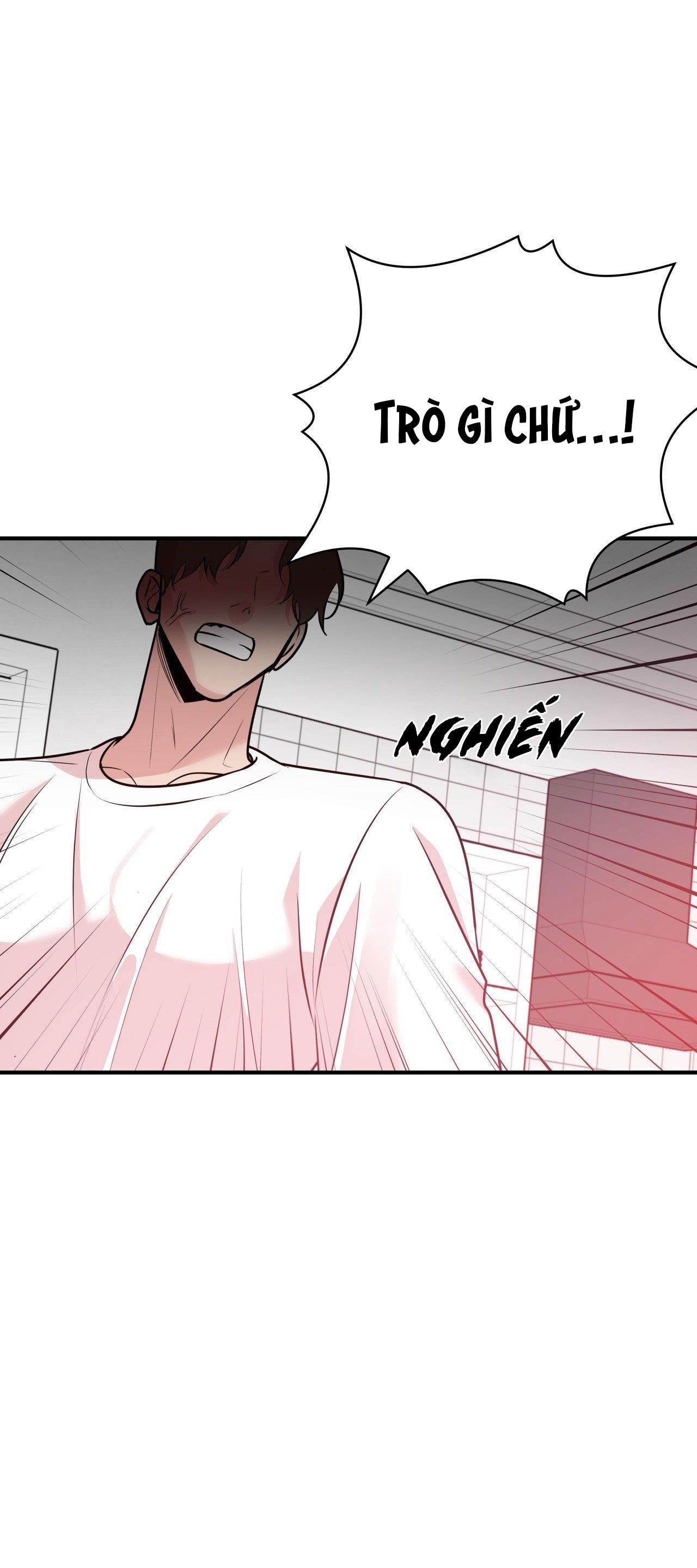 Đọc truyện ĐIỀU 260 BỘ LUẬT HÌNH SỰ - Chapter 2