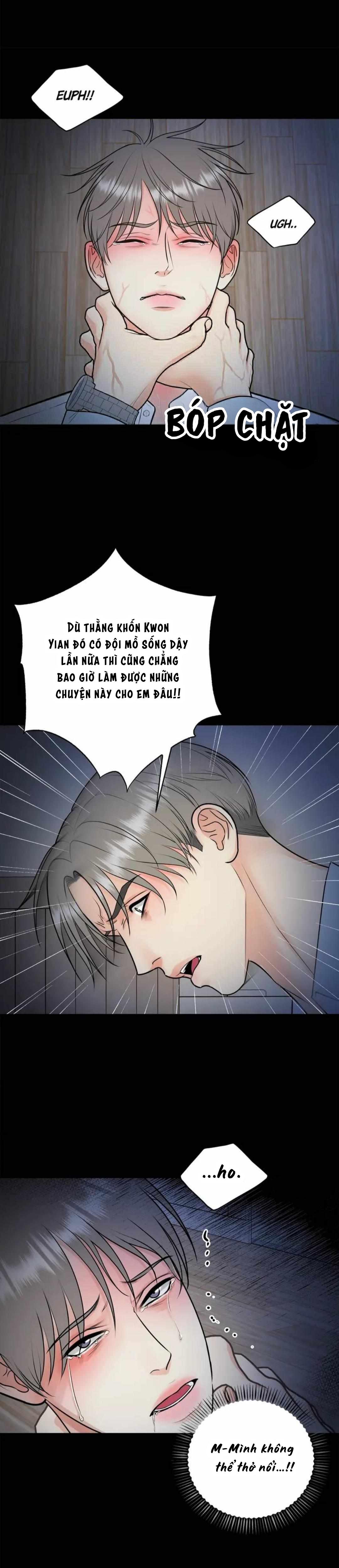 Đọc truyện Hạnh Phúc Trọn Vẹn - Chapter 50