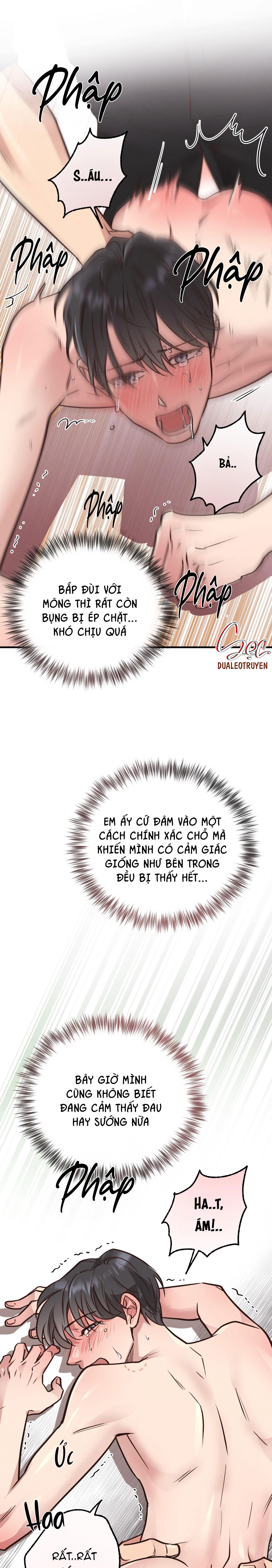 Đọc truyện HONEY BEAR - Chapter 41