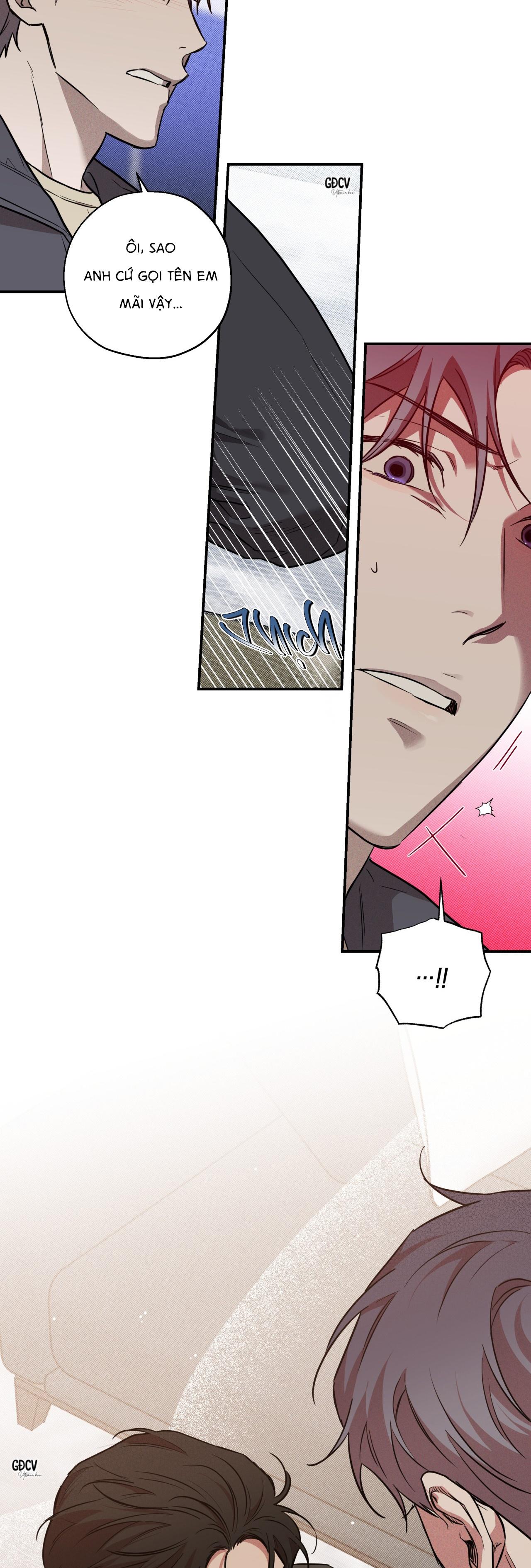 Đọc truyện ANH RỂ - Chapter 2