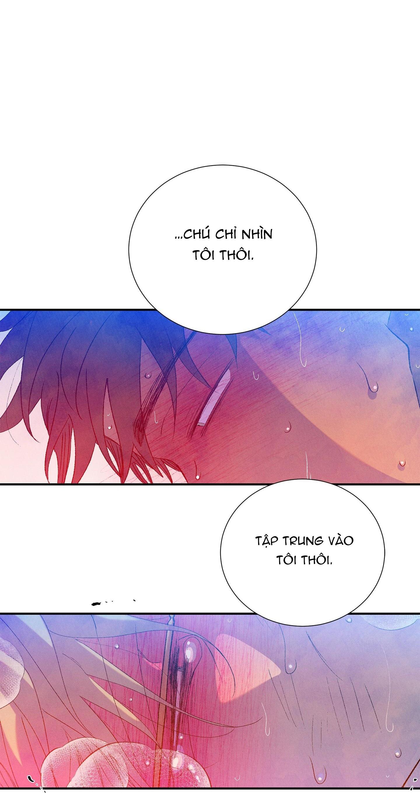 Đọc truyện ÔNG CHÚ BÊN CỬA SỔ - Chapter 67