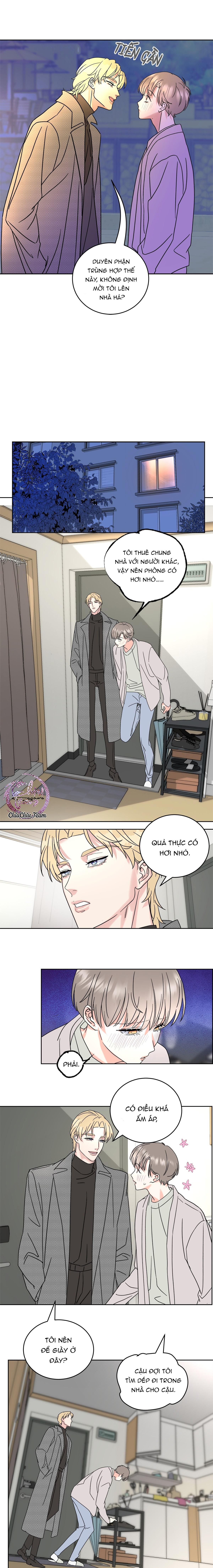 Đọc truyện Anh Trai Rẻ Tiền Của Tôi (END) - Chapter 4