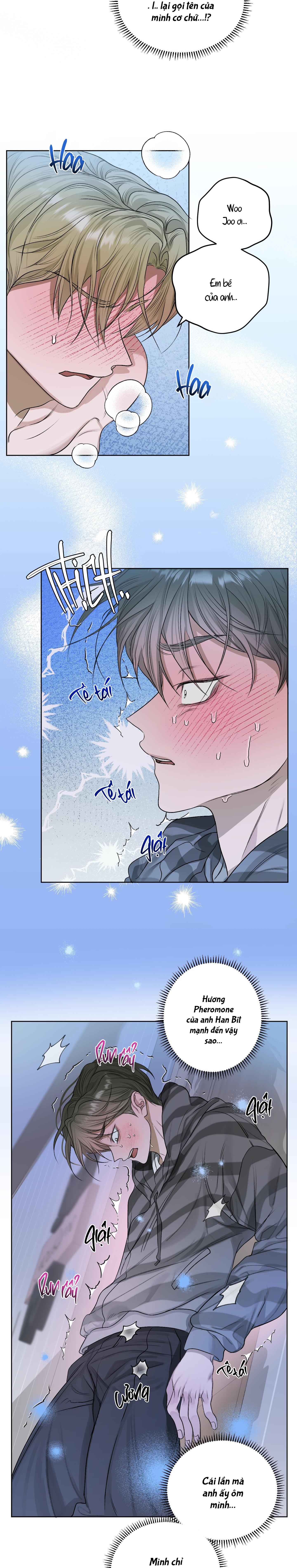 Đọc truyện  Đầm Sen Héo Úa - Chapter 22