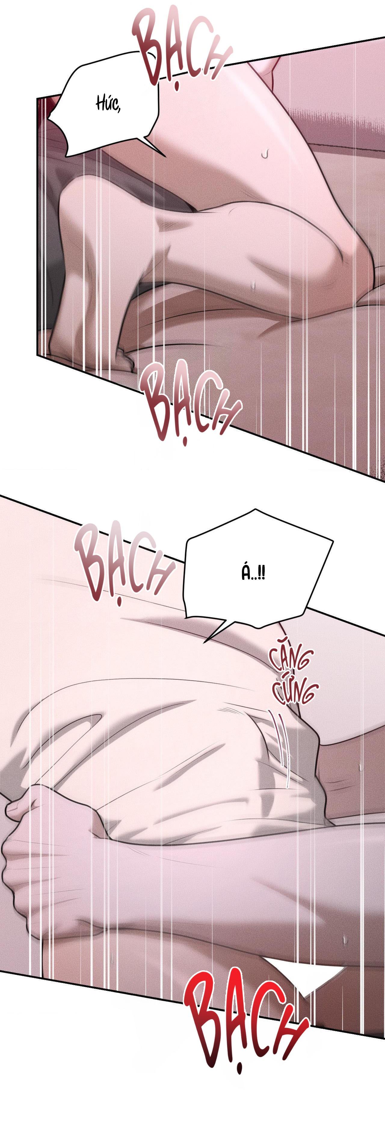 Đọc truyện  Gấu Teddy thân yêu - Chapter 36