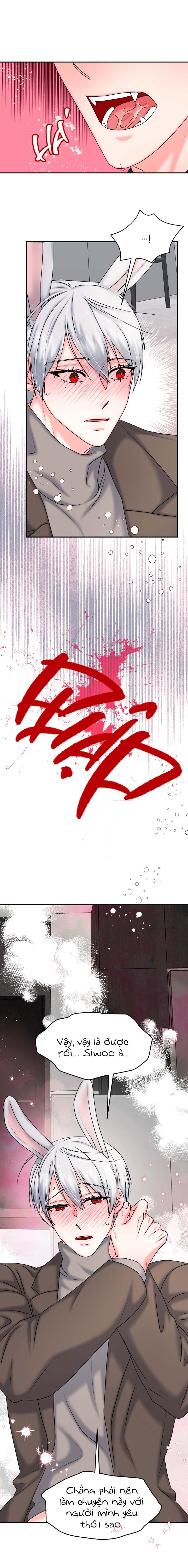 Đọc truyện ĐÂY LÀ CHÚ THỎ MÀ BẠN (KHÔNG) ĐÃ ĐẶT HÀNG - Chapter 20