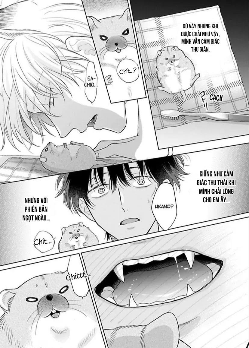 Đọc truyện Cách Khiến Một Omega Trở Nên Ngon Miệng - Chapter 8