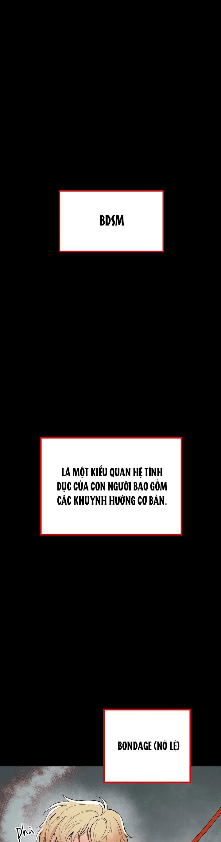 Đọc truyện HƯỚNG DẪN BDSM CƠ BẢN - Chapter 1