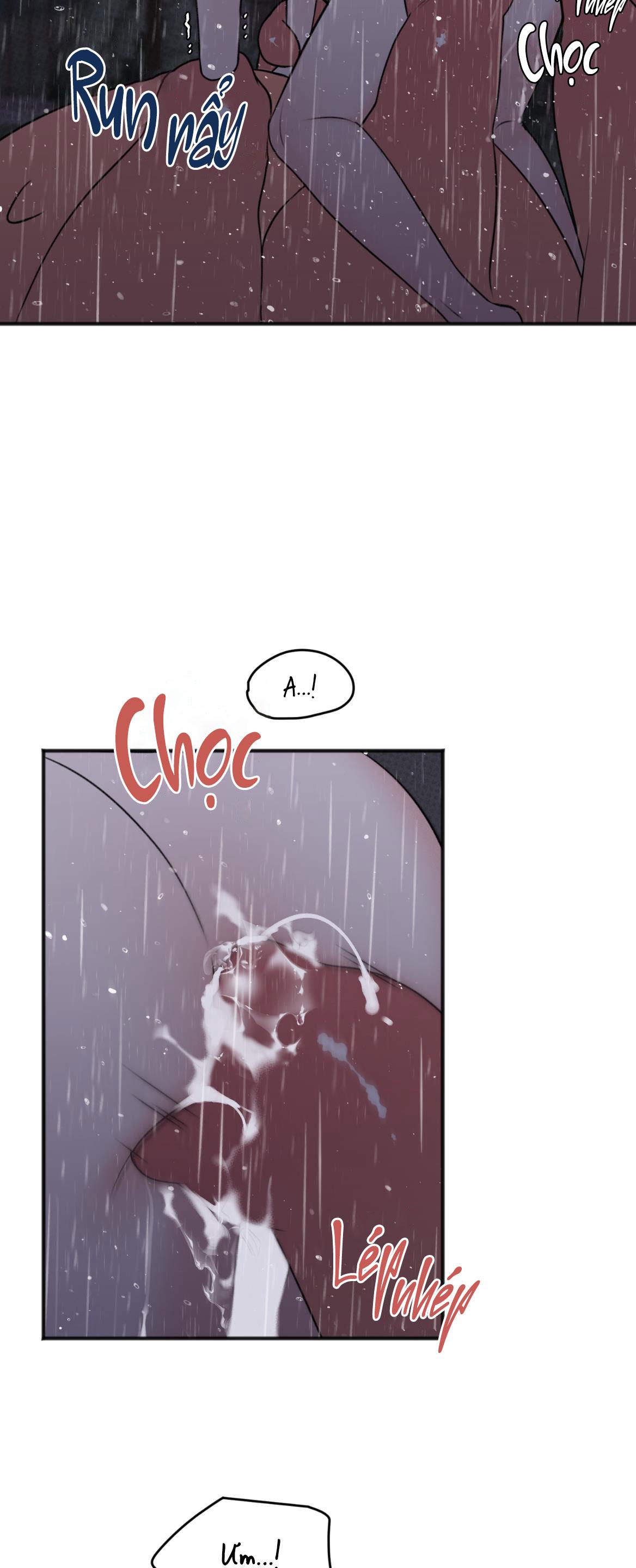 Đọc truyện DỰ BÁO MƯA RÀO - Chapter 6