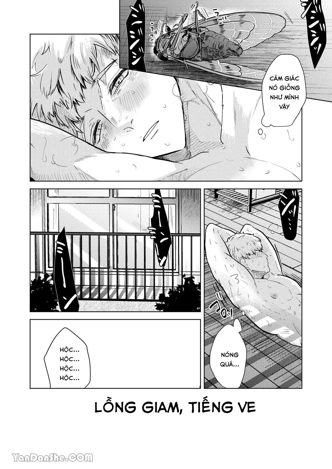 Đọc truyện Ở đây có yaoi hơi bị choáy - Chapter 272