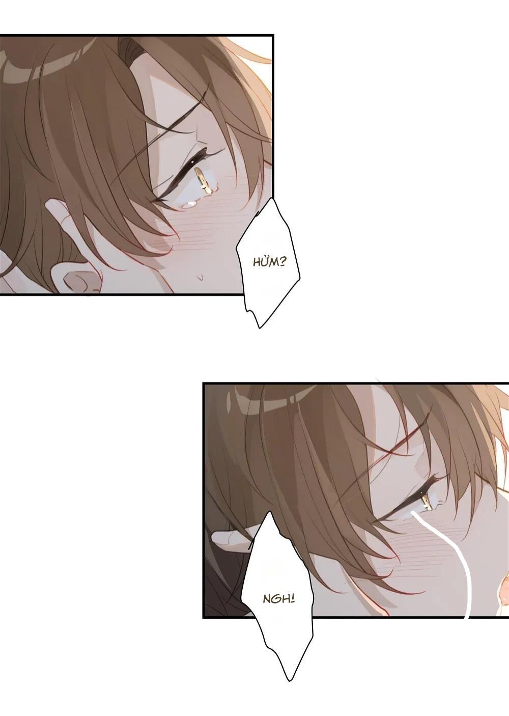 Đọc truyện Chào, đã lâu không gặp - Chapter 50