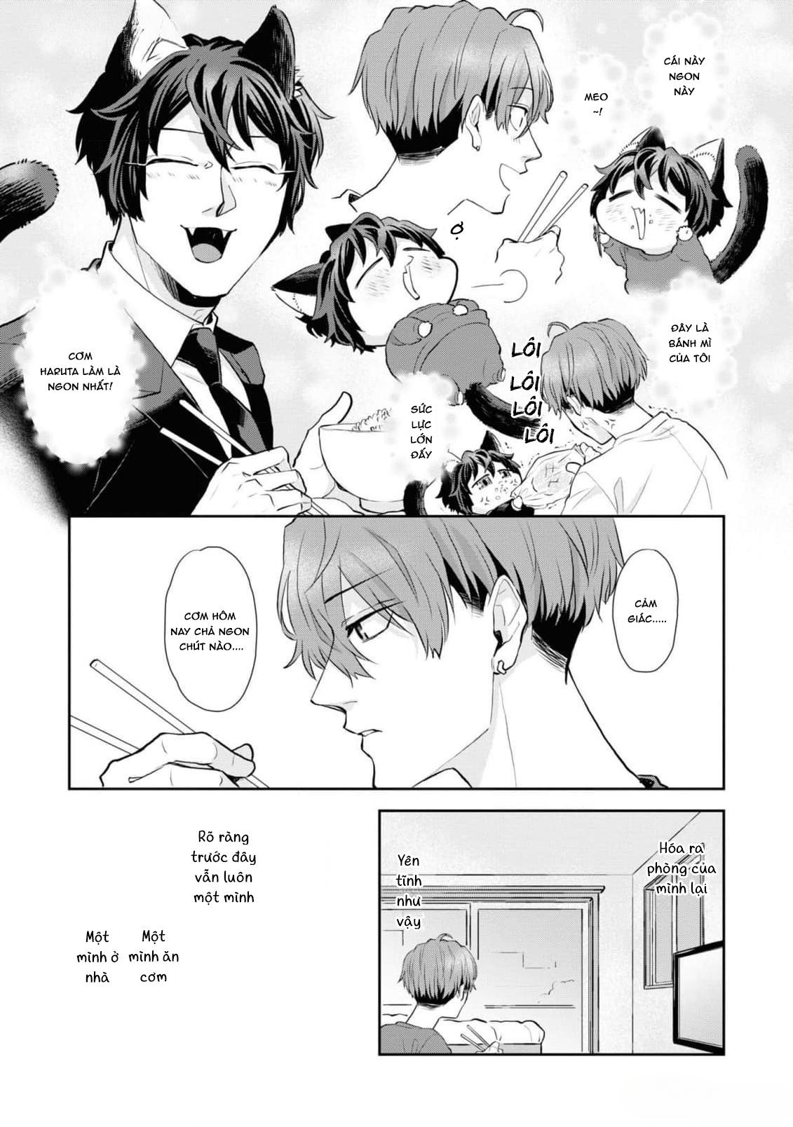 Đọc truyện Chú mèo đẹp trai muốn được Haruta nuôi dưỡng - Chapter 8