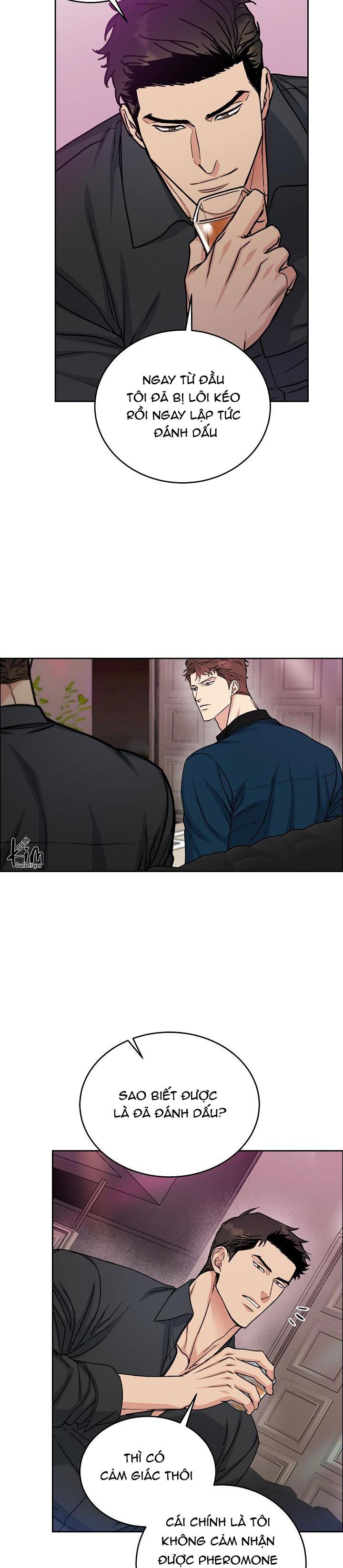 Đọc truyện CHÓ VÀ CHIM - Chapter 14