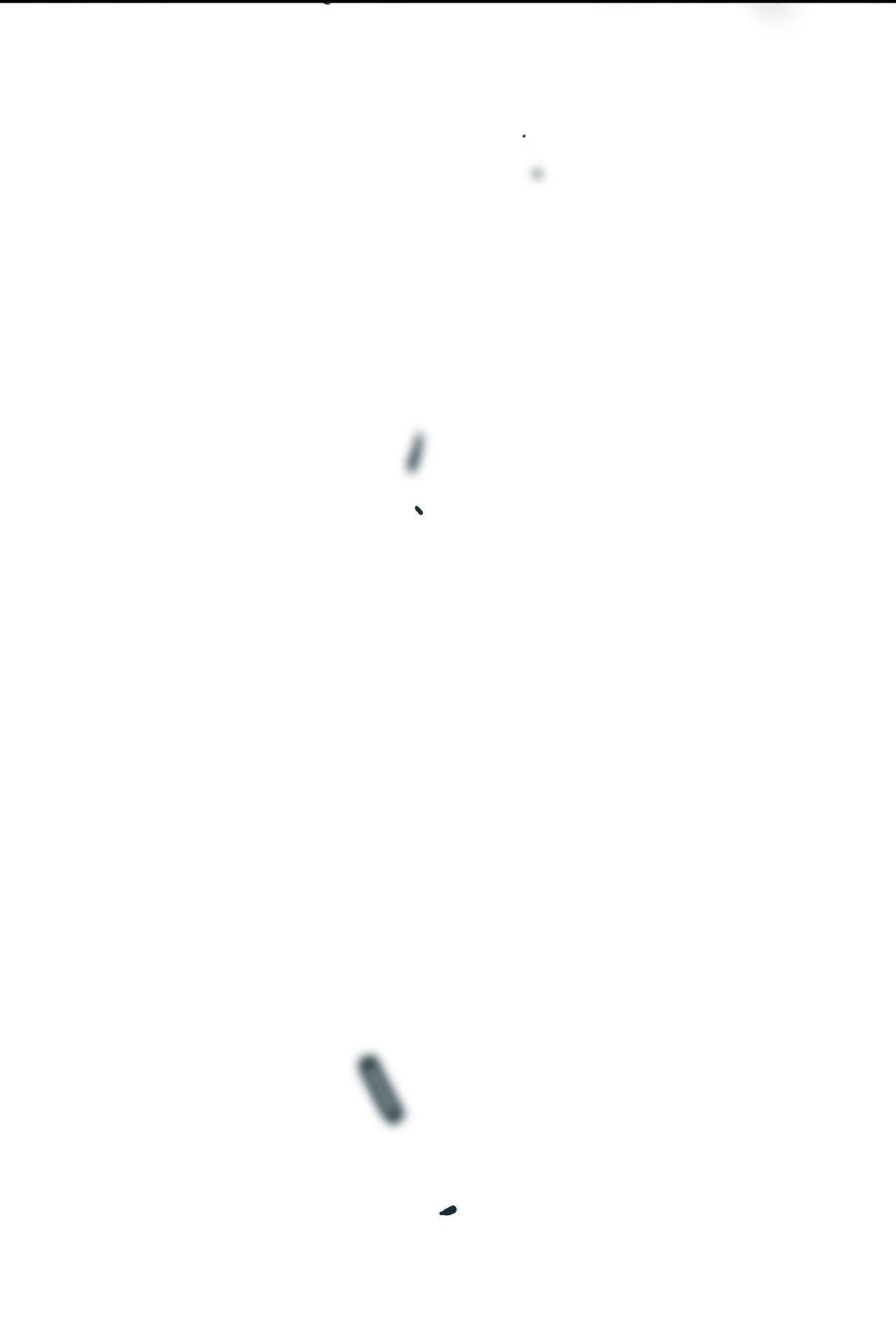 Đọc truyện  Tình yêu và danh vọng - Chapter 66