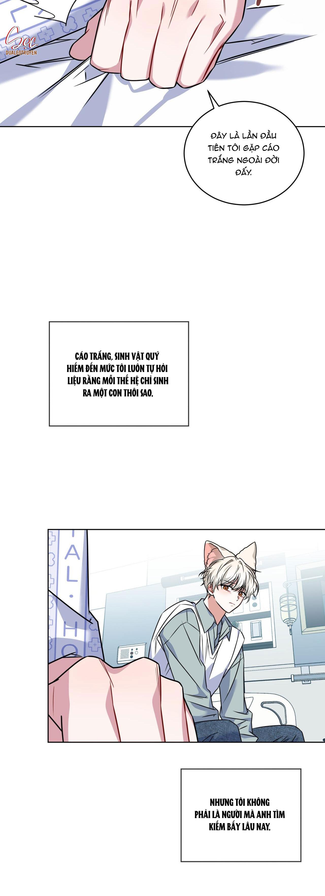 Đọc truyện NƯỚC UỐNG TÌNH YÊU CỦA CÁO PLIN - Chapter 17