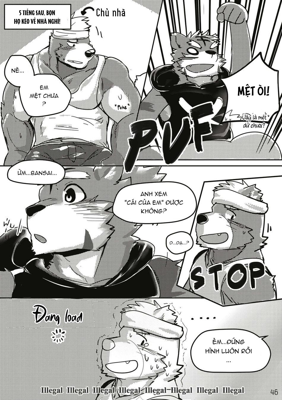 Đọc truyện TUYỂN TẬP CU 18CM - Chapter 73