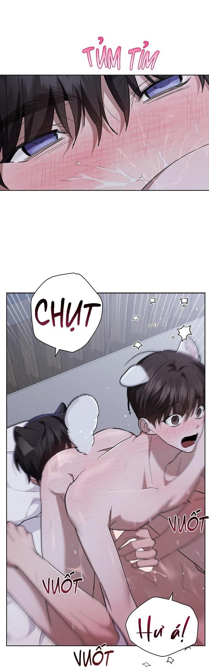 Đọc truyện ĐỪNG ĐỘNG VÀO CÚN CON! - Chapter 31