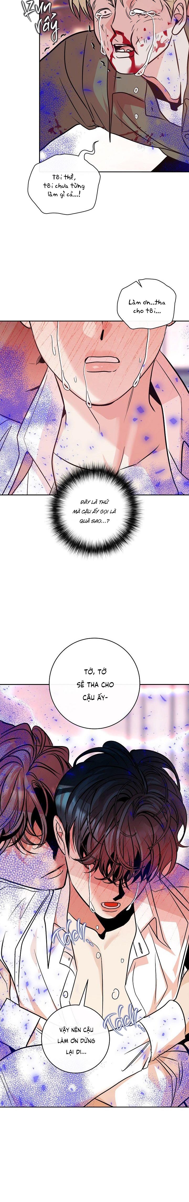 Đọc truyện NUÔI DƯỠNG BETA - Chapter 14