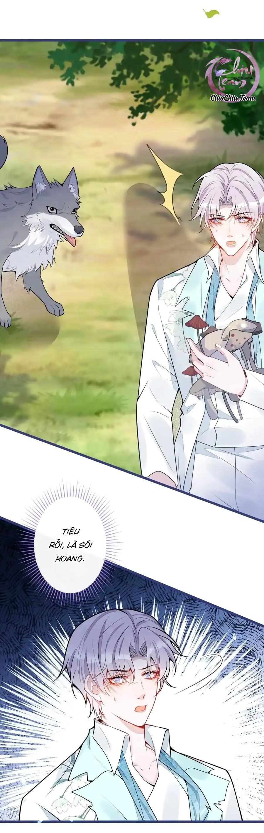 Đọc truyện Sói Báo Ơn (END) - Chapter 56