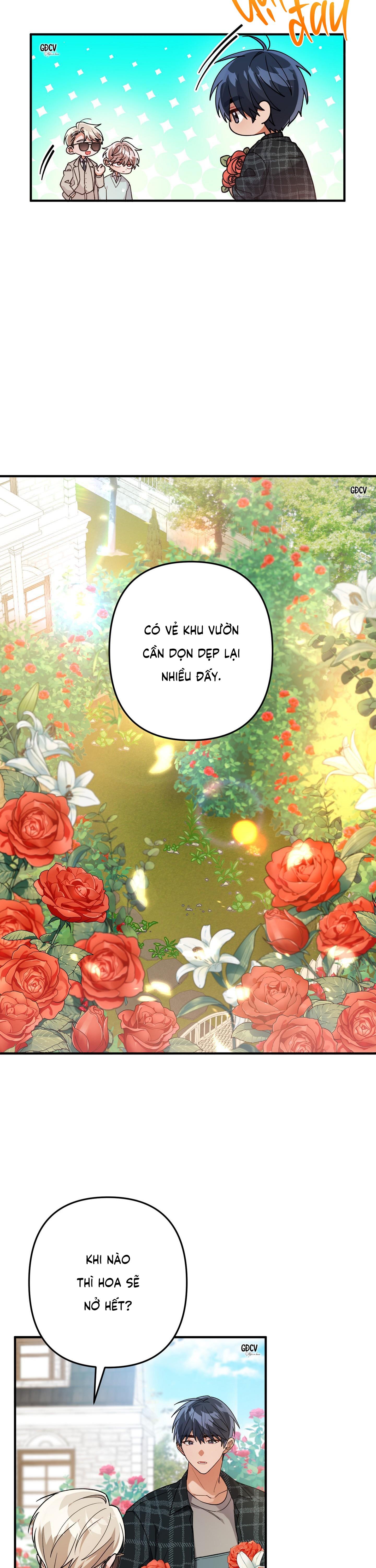 Đọc truyện [DROP] BIỆT THỰ HOA HỒNG CỦA ANH DO DO HOON - Chapter 2