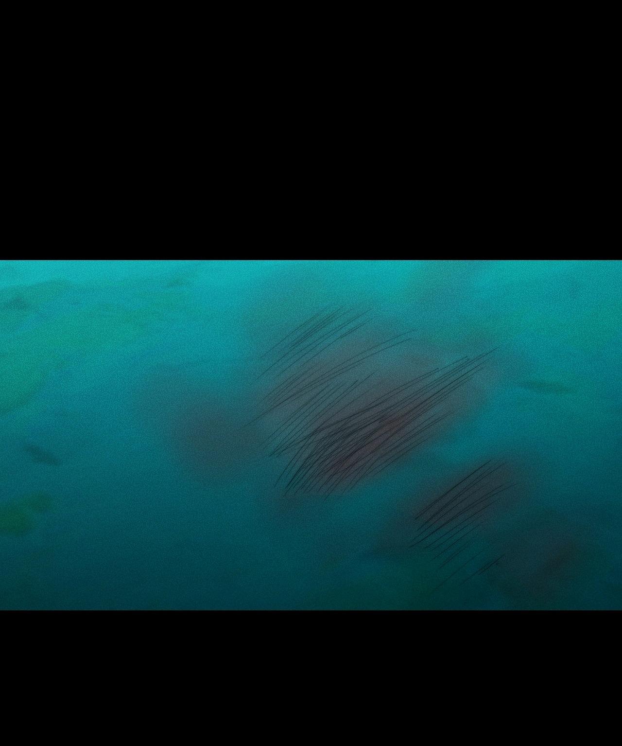 Đọc truyện DEAR, TEDDY BEAR - Chapter 30