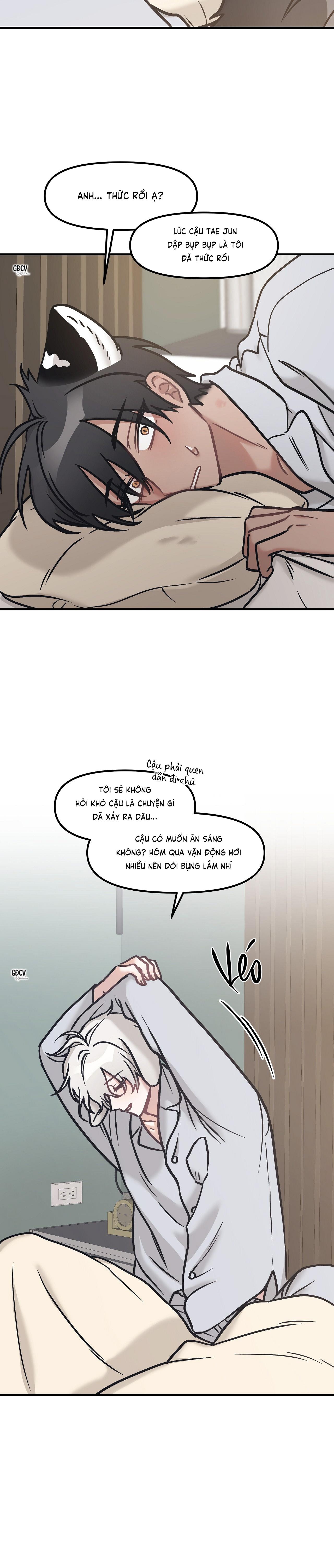 Đọc truyện THƯA NGÀI HỔ, TÔI ĐÃ ĂN RẤT NGON MIỆNG - Chapter 20