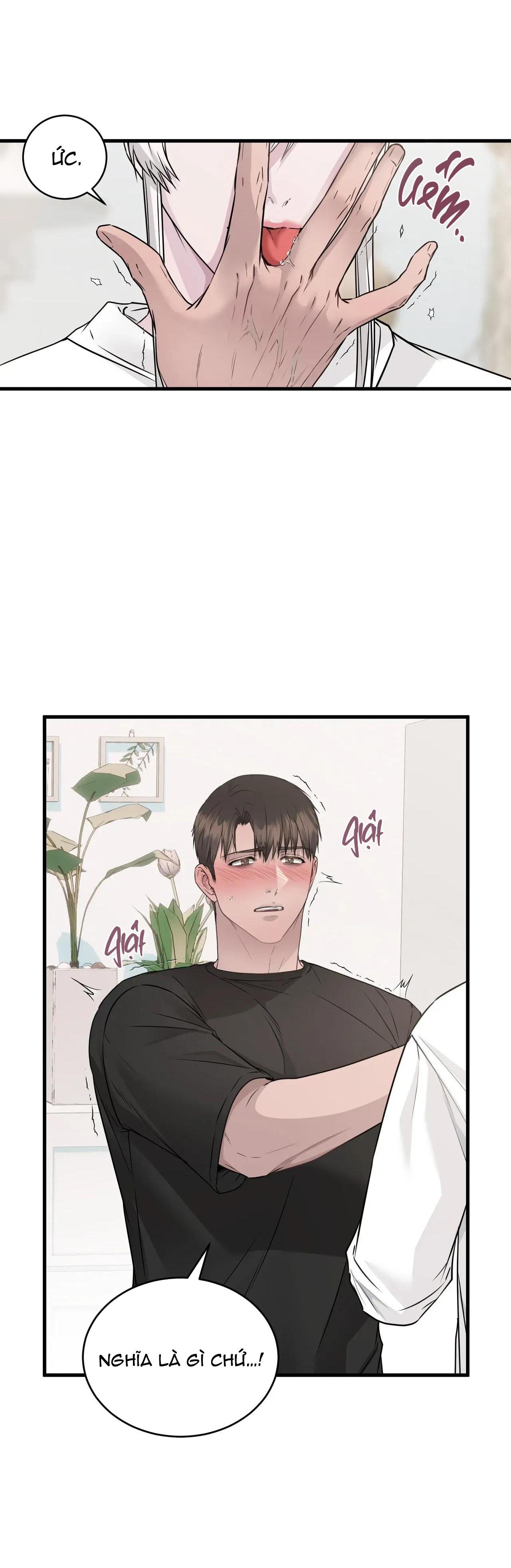 Đọc truyện Rắn Và Ân Nhân - Chapter 4