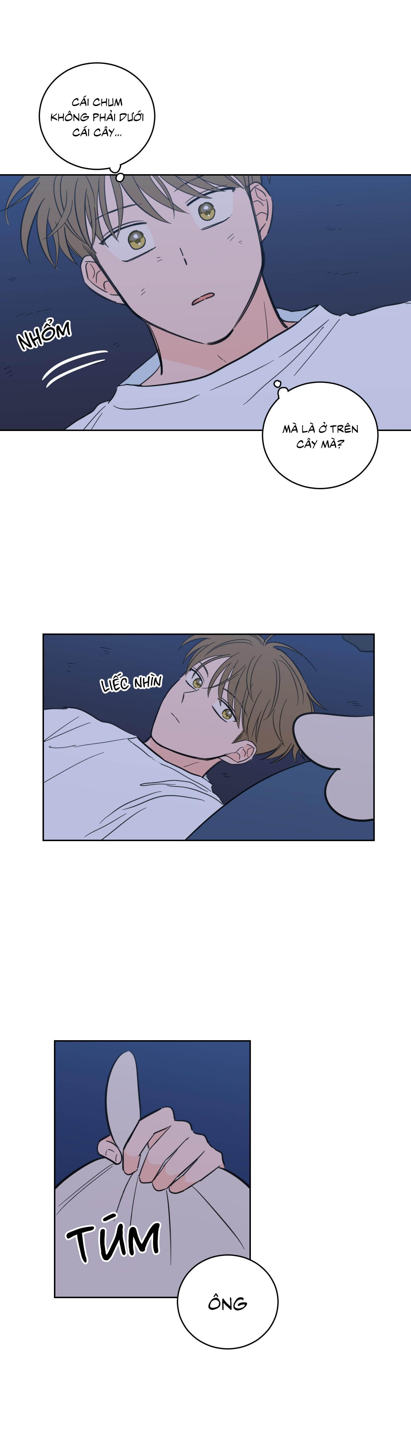 Đọc truyện Mẹo Thuần Hóa Hổ - Chapter 88