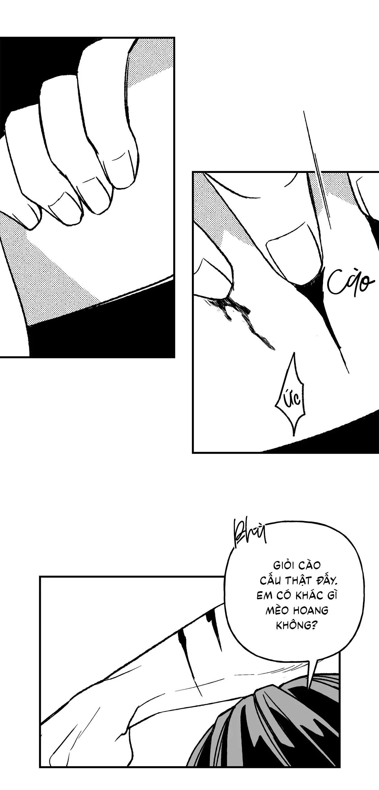 Đọc truyện  Sự kết hợp hoàn hảo - Chapter 38
