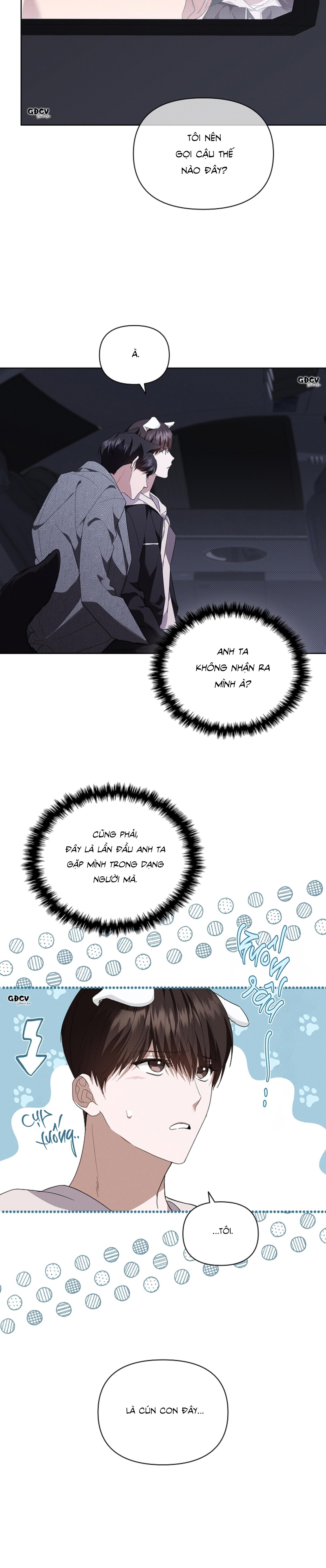 Đọc truyện ĐỪNG CHẠM VÀO CÚN CON CỦA TÔI - Chapter 19