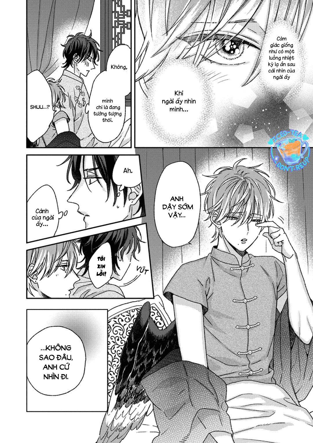 Đọc truyện Ngủ ngon nhé, chú chim nhỏ của tôi - Chapter 4