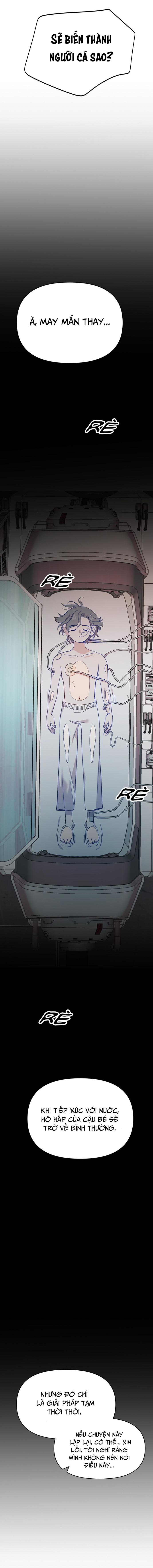 Đọc truyện Chàng tiên cá tôi yêu - Chapter 5