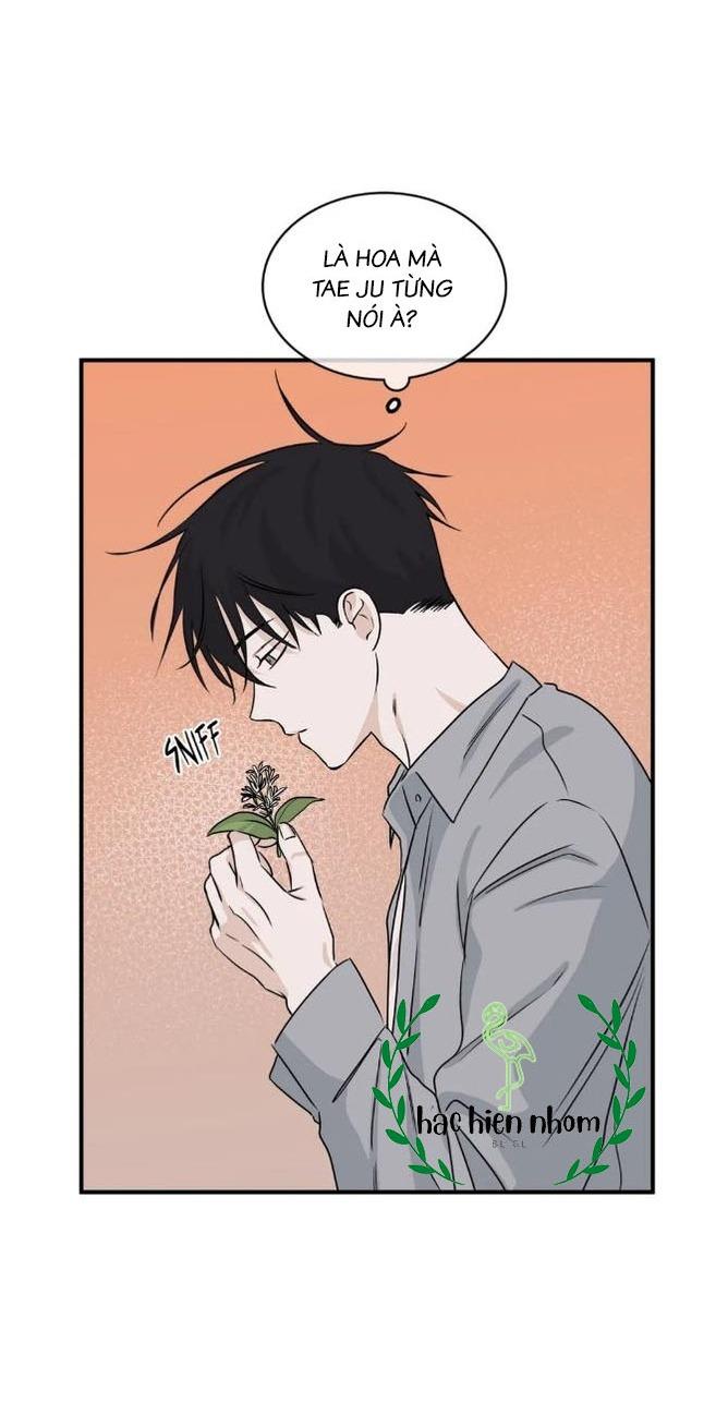 Đọc truyện Thủy triều thấp lúc chạng vạng - Chapter 35