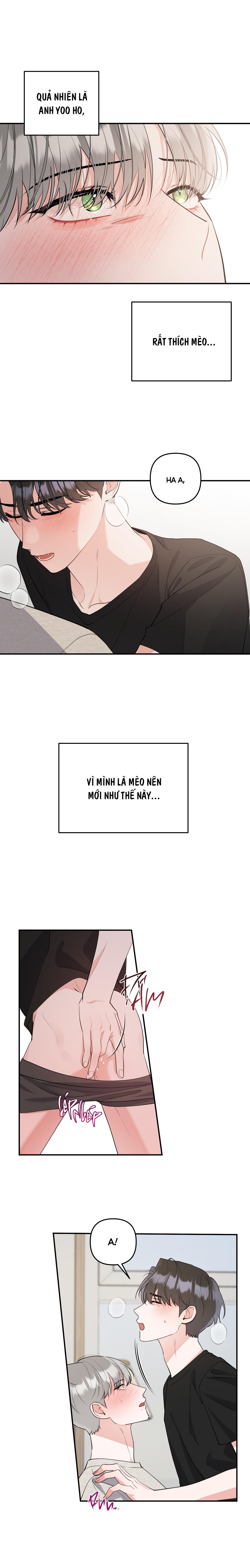 Đọc truyện LIST TRUYỆN NGẮN CHỊT CHỊT - Chapter 71