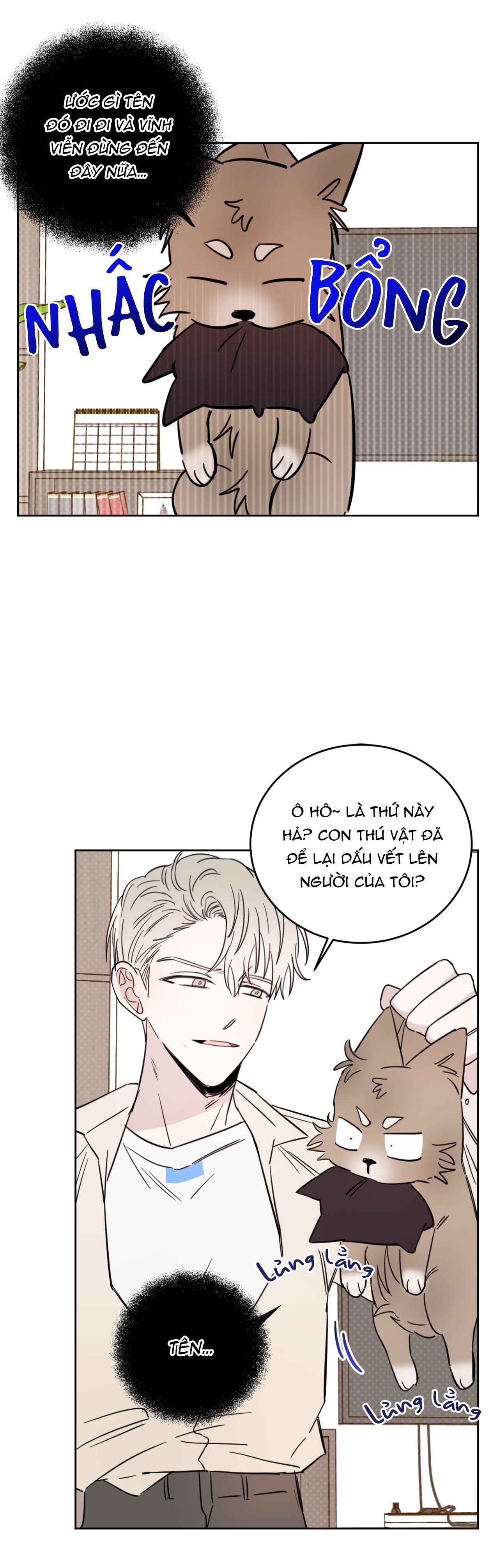 Đọc truyện Ác ma giữa ngã tư đường - Chapter 19