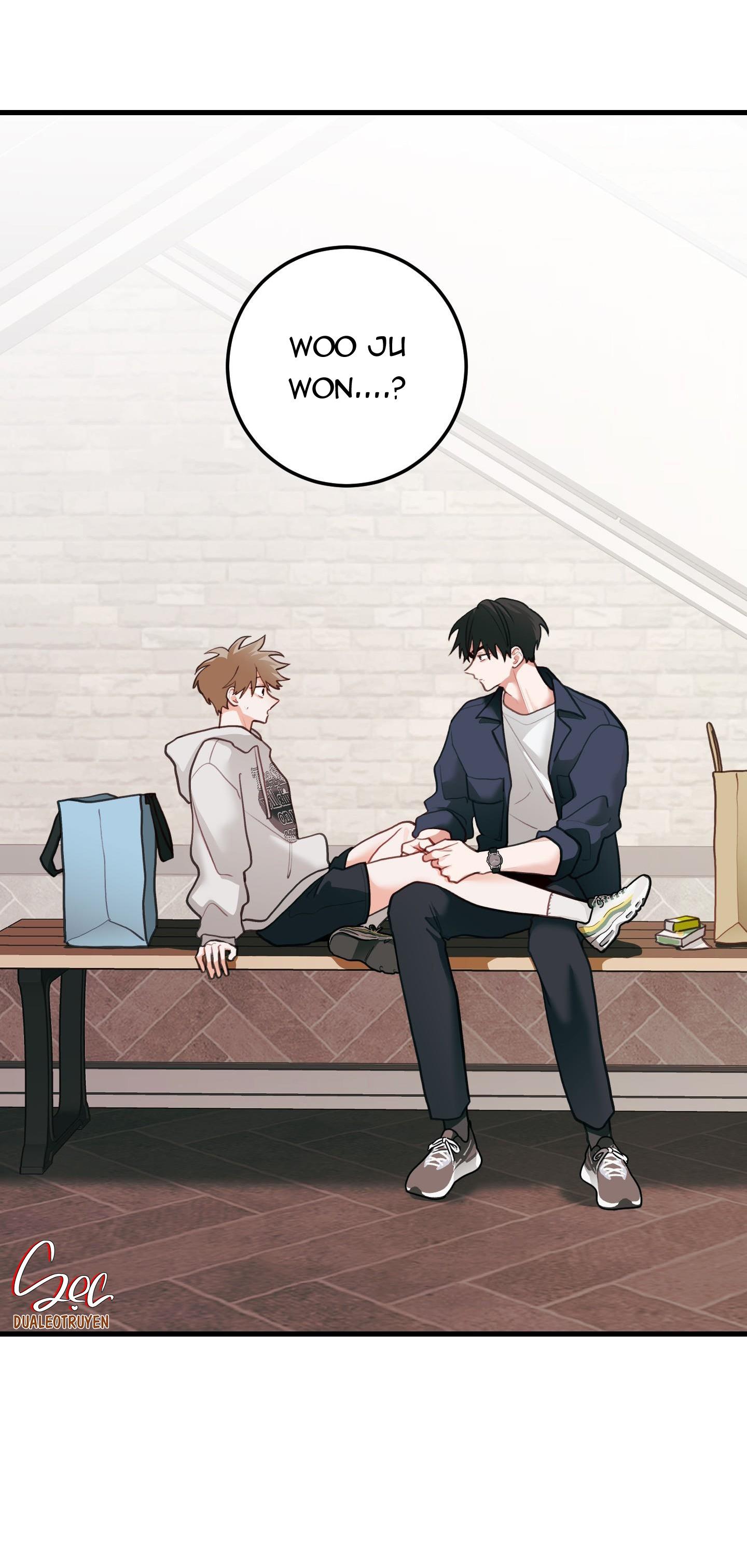 Đọc truyện CHUYỆN TÌNH HOA LÊ NỞ - Chapter 42