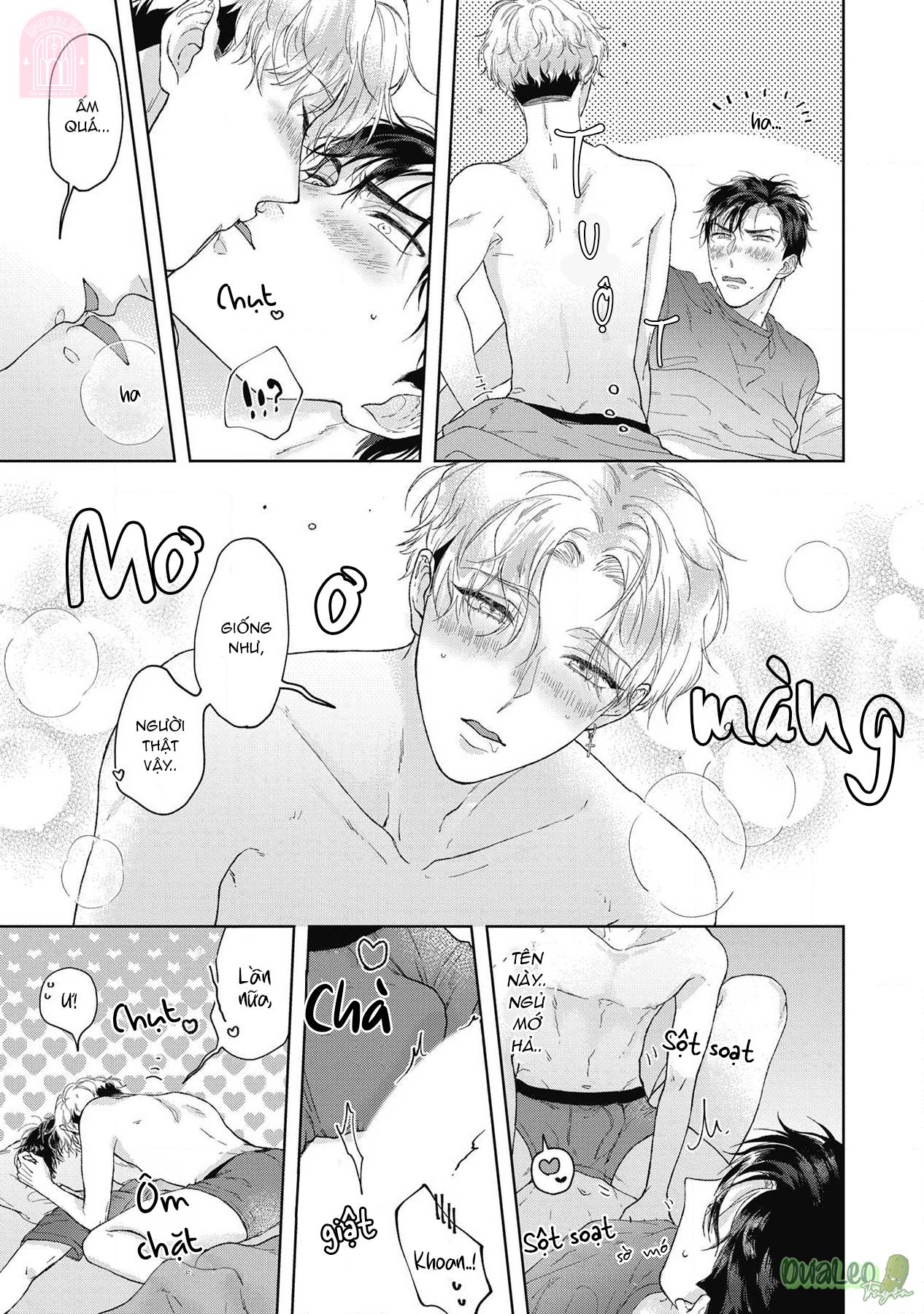 Đọc truyện Mèo nghiện cỏ còn em thì nghiện anh - Chapter 1