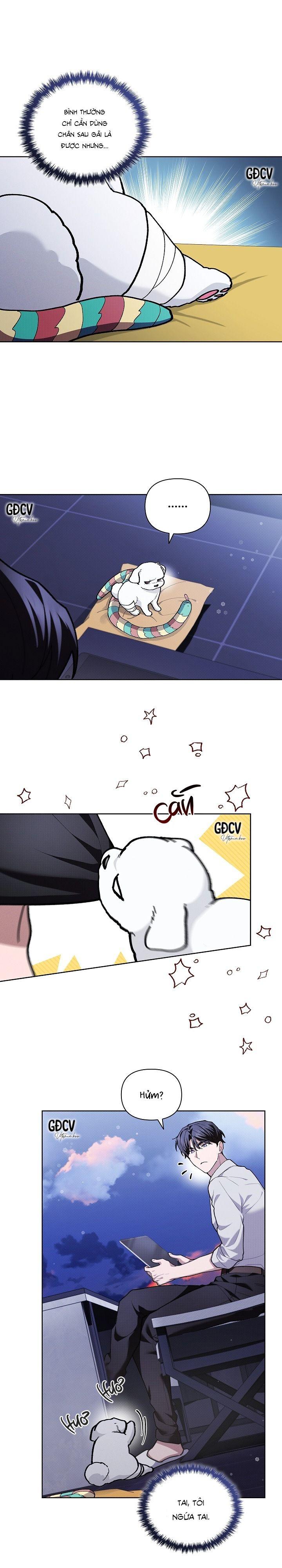 Đọc truyện ĐỪNG CHẠM VÀO CÚN CON CỦA TÔI - Chapter 6