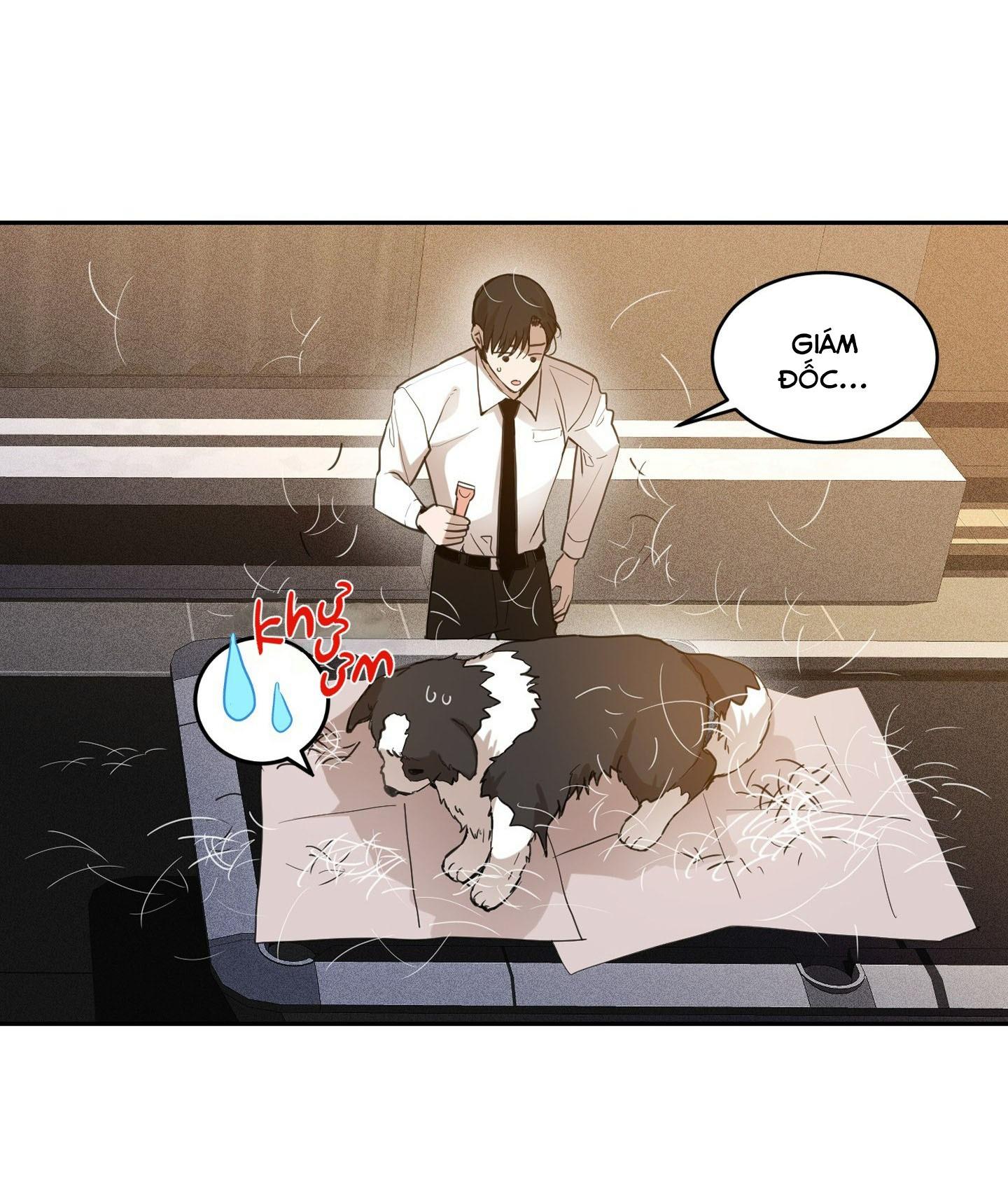 Đọc truyện CHUYỆN TÌNH LÔNG CHÓ (END) - Chapter 1