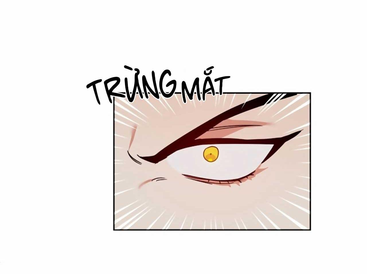 Đọc truyện SÓI GIÀ VÀ CÁO NHỎ - Chapter 4