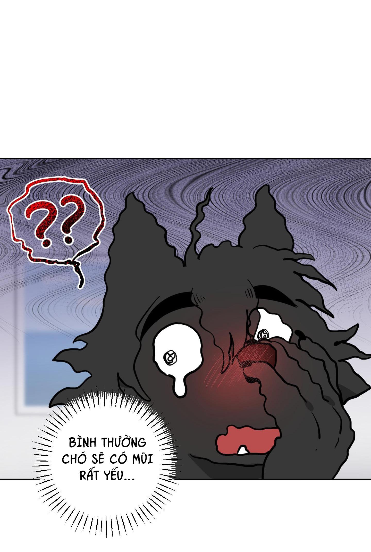 Đọc truyện CHÚ ĐÃ BIẾT HẾT RỒI SAO ? - Chapter 11