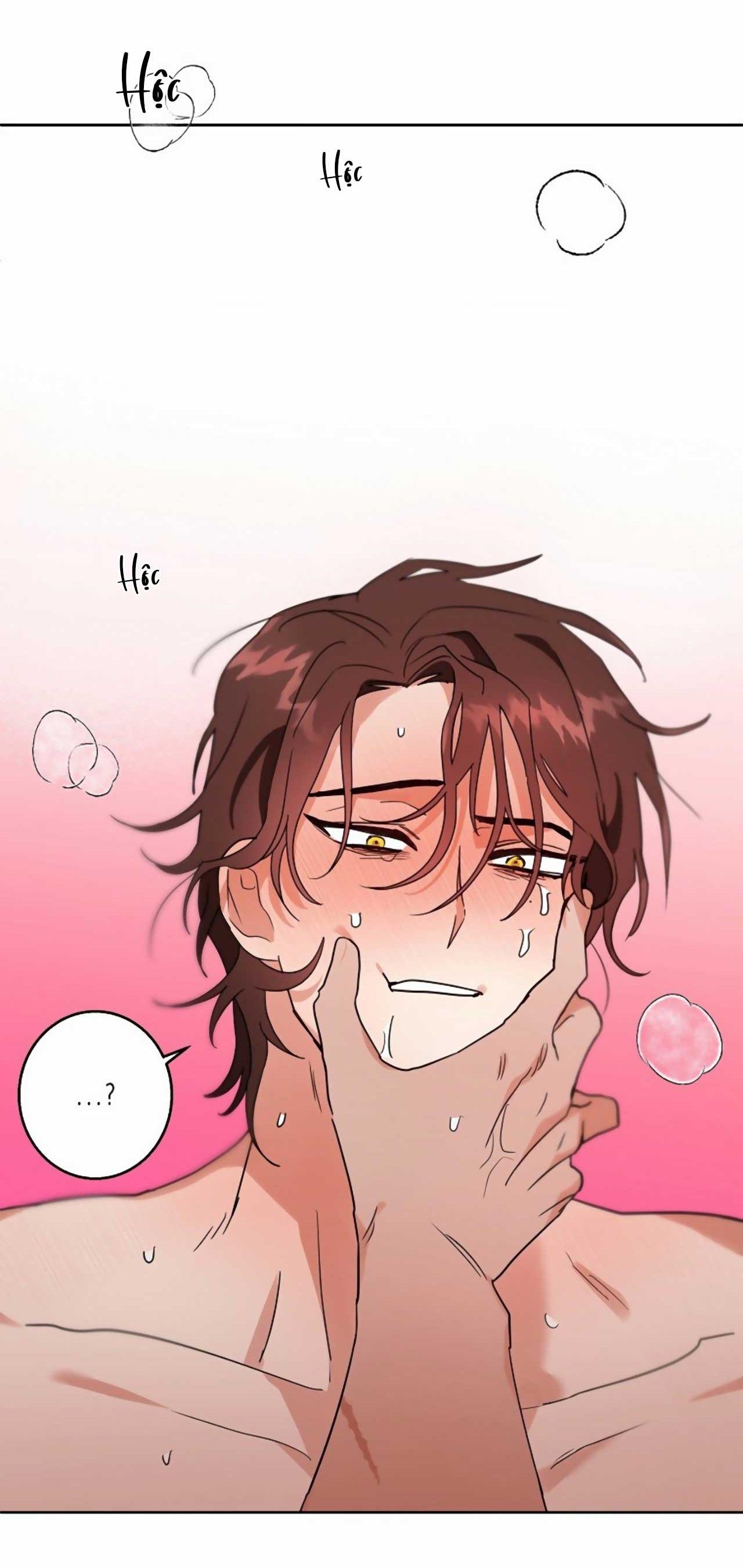 Đọc truyện SÓI GIÀ VÀ CÁO NHỎ - Chapter 2