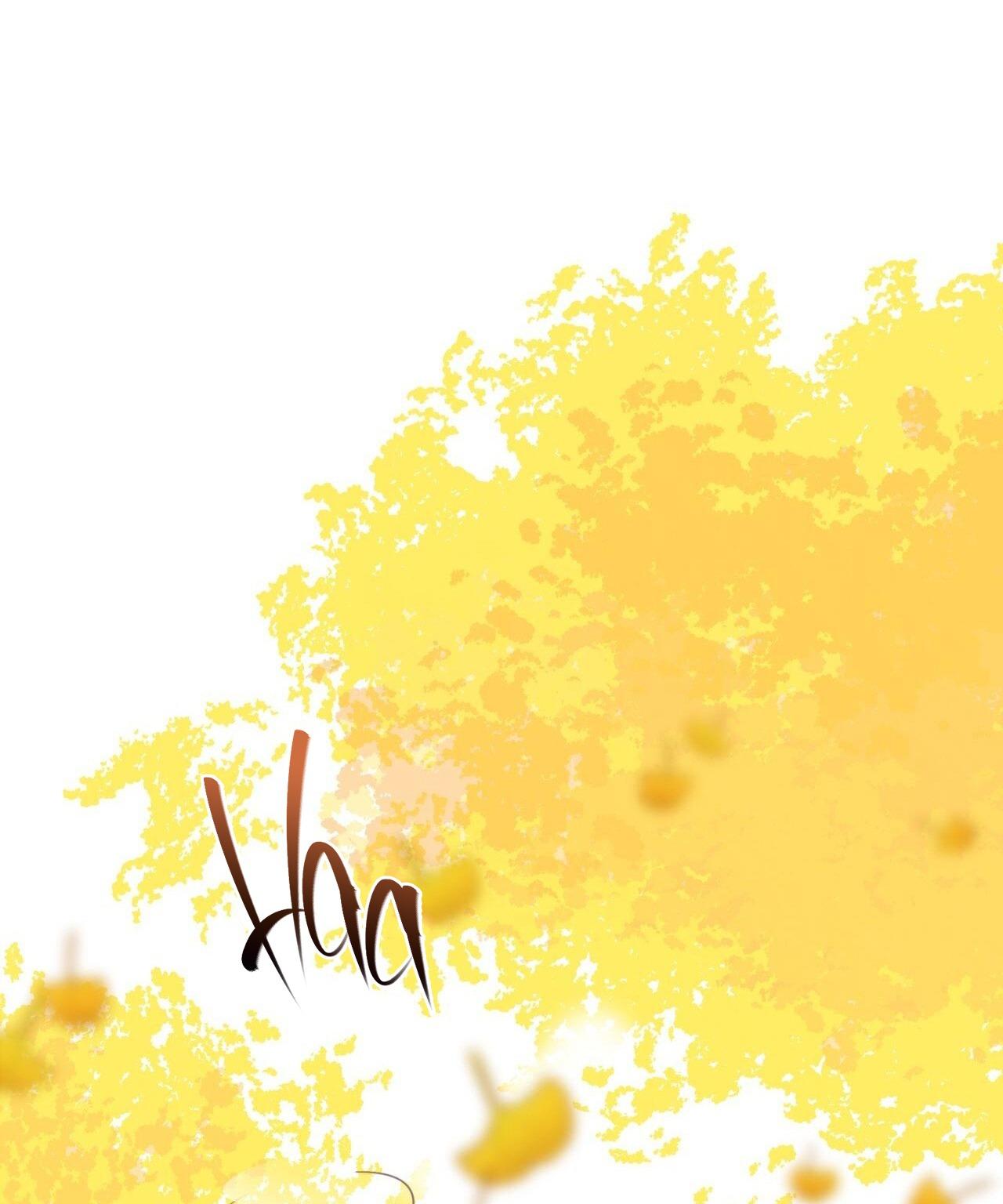 Đọc truyện HONEY BEAR - Chapter 31