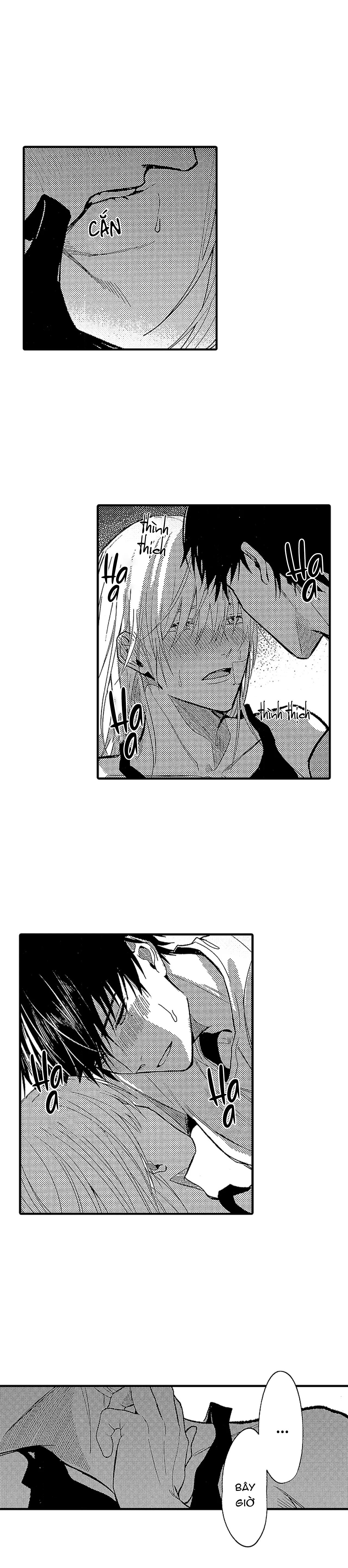 Đọc truyện Tái sinh thành một Omega - Chapter 18