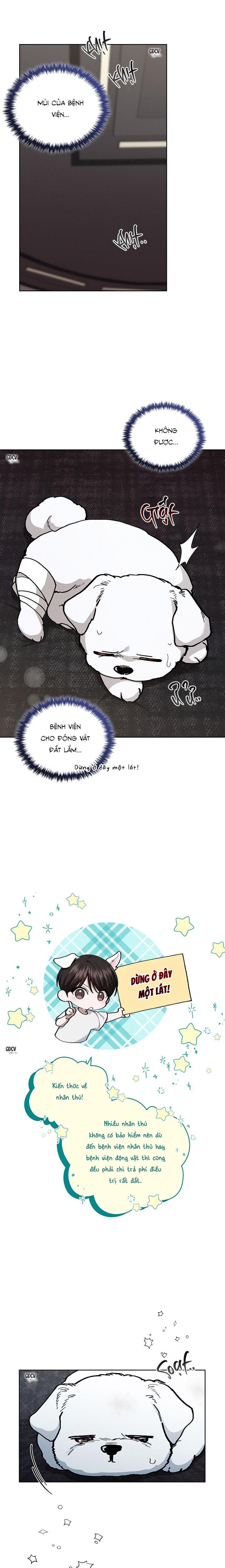 Đọc truyện ĐỪNG CHẠM VÀO CÚN CON CỦA TÔI - Chapter 3