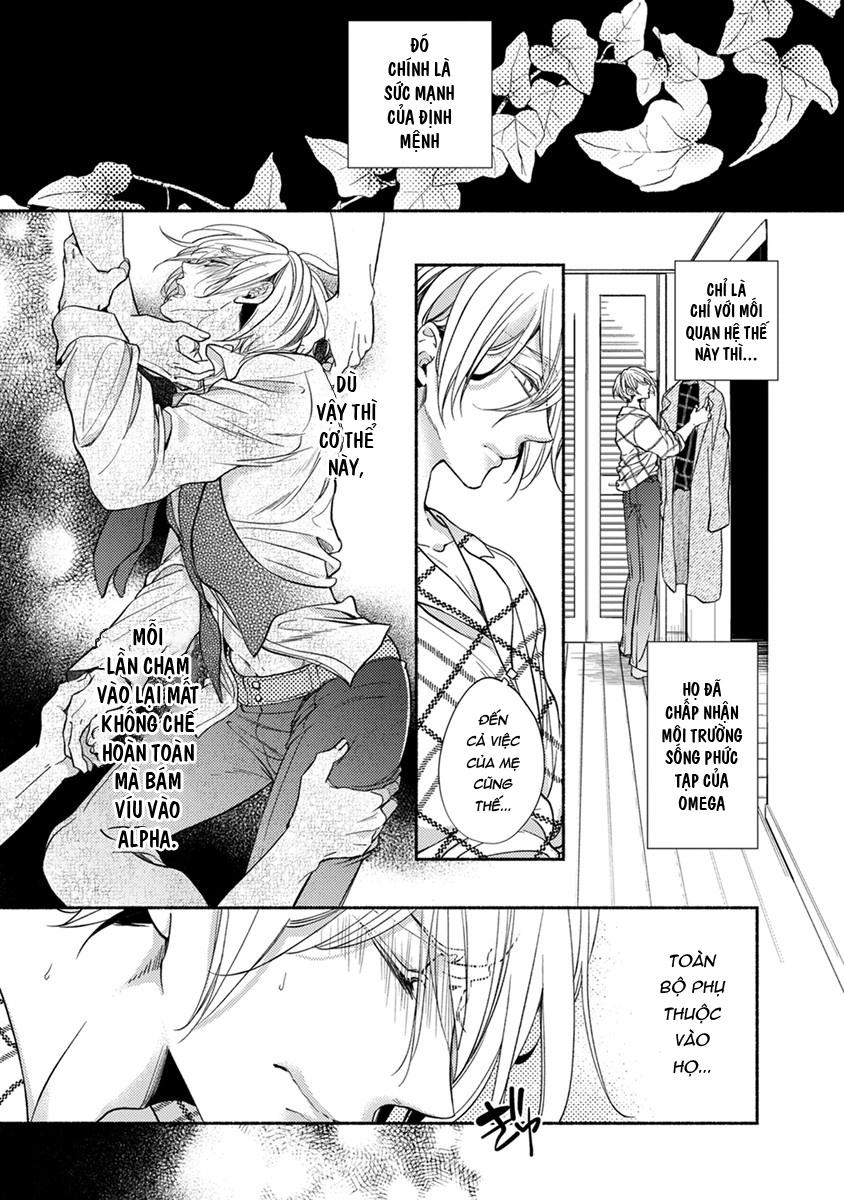 Đọc truyện Omega Giả Vờ KIên Cường Đó Là Bạn Tình Của Tôi - Chapter 4